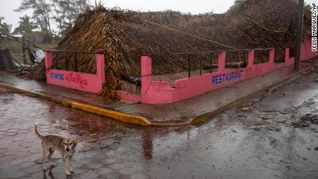 A dog stands in front of a restaurant toppled by winds brought on by Hurricane Grace in Tecolutla, Veracruz, Mexico.