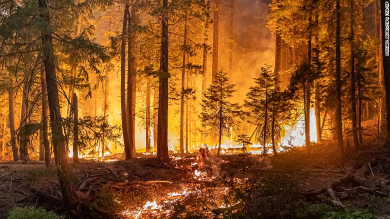 The Caldor Wildfire is only 9% contained and has burned more than 110,000 acres