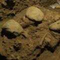 Ancient DNA from a teenage girl reveals previously unknown group of ...