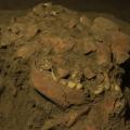 Ancient DNA from a teenage girl reveals previously unknown group of ...