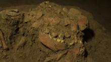 Ancient DNA from a teenage girl reveals previously unknown group of ...