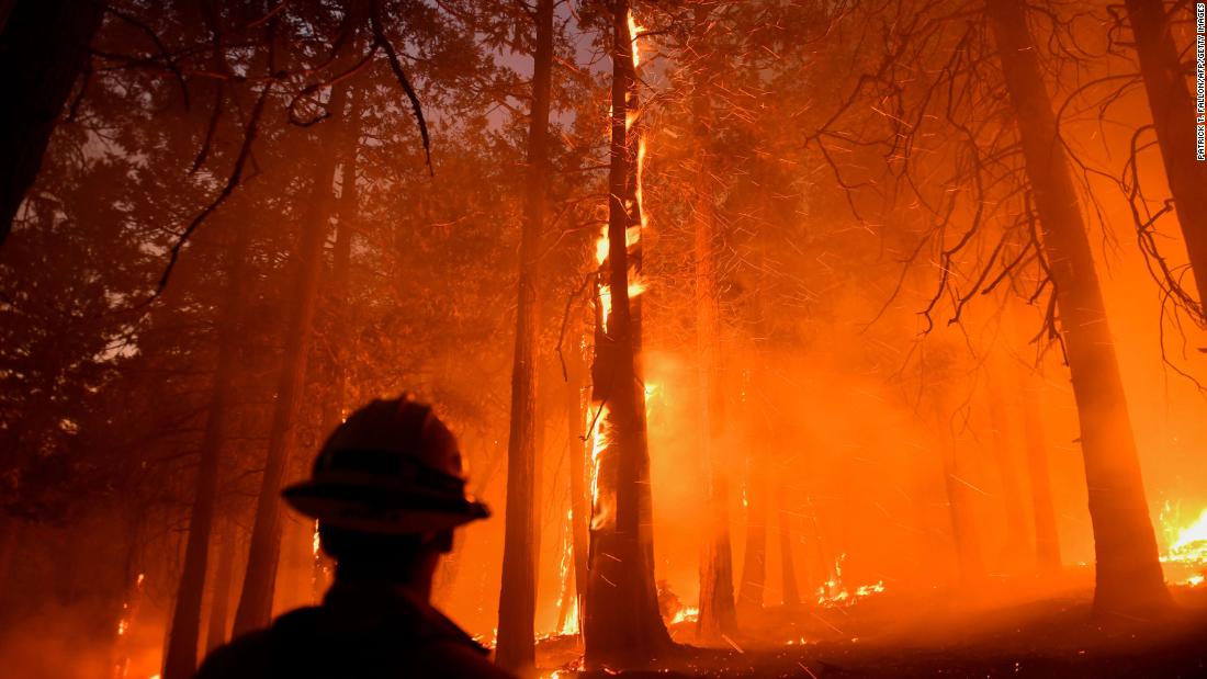 A firefighter watches a tree as the French Fire burns in the Sequoia National Forest near Wofford Heights, California, on Wednesday, August 25.