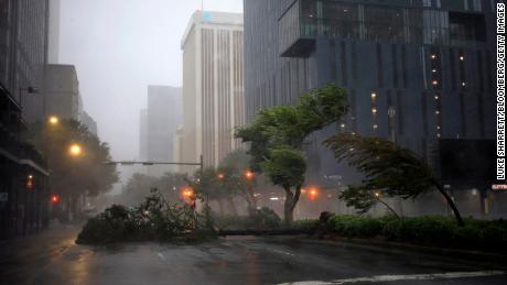 Trees sway in the wind from Hurricane Ida in downtown New Orleans Sunday.