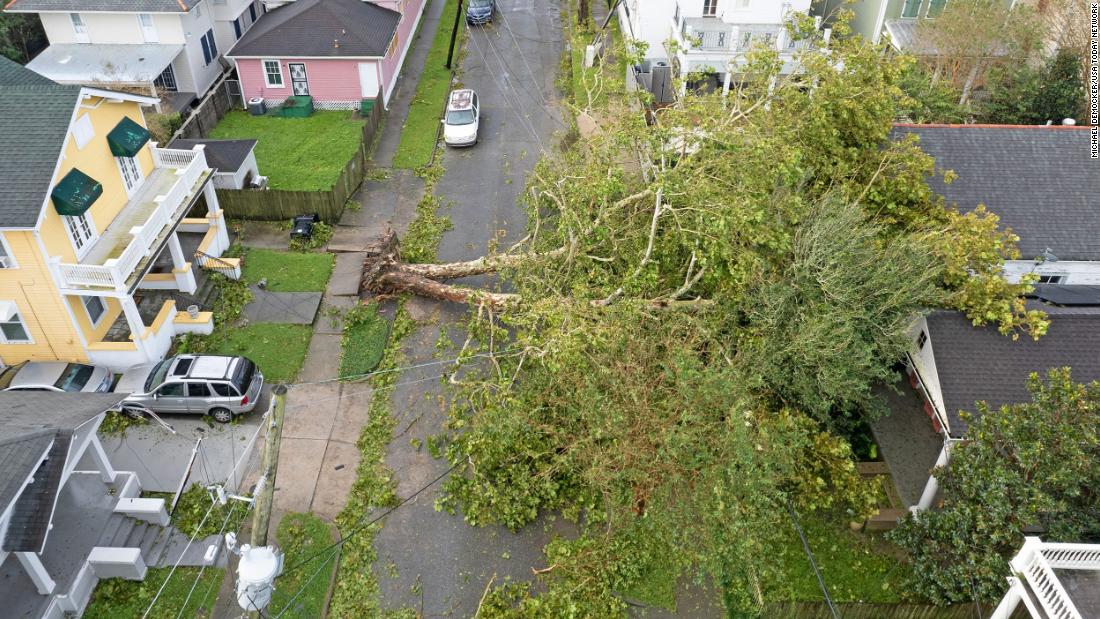 A downed tree lies on a house in New Orleans on August 30.