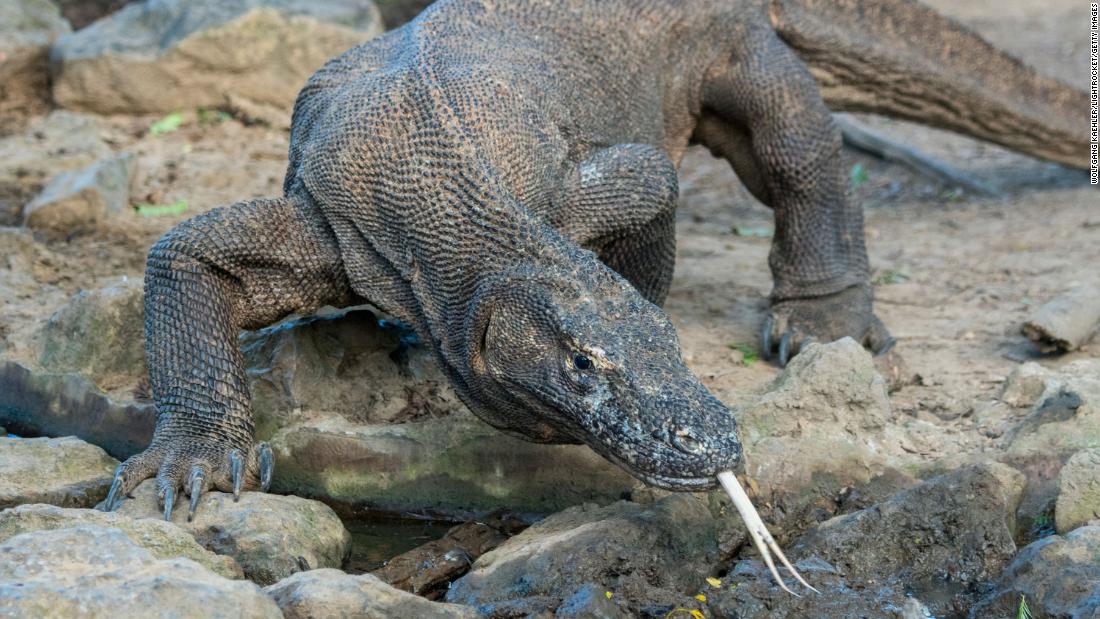 Skupina varuje, že téměř 30% ze 138 000 hodnocených druhů čelí vyhynutí