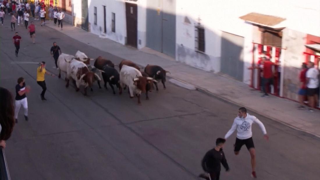 Vuelven las fiestas de toros en España tras el inicio de la pandemia ...