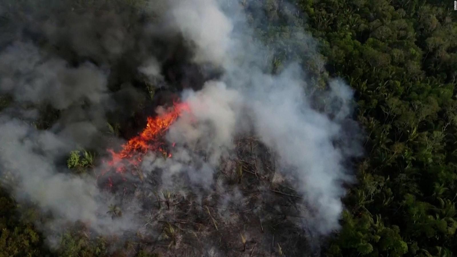 Imágenes aéreas muestran la devastación de los incendios en la Amazonia ...