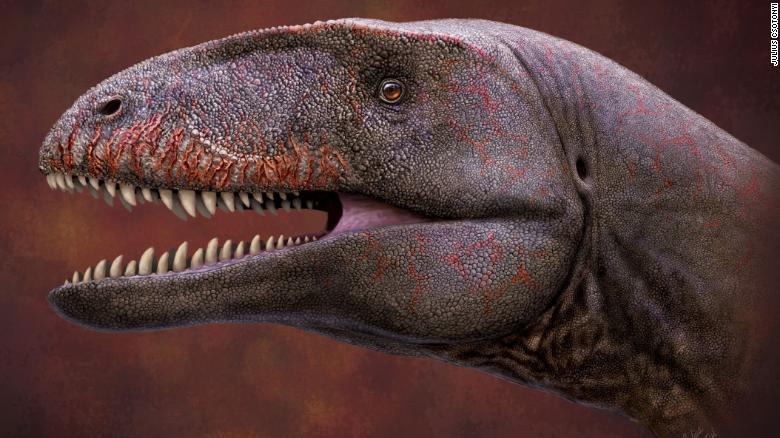 A newly discovered dinosaur with shark-like teeth was the T. rex of its day