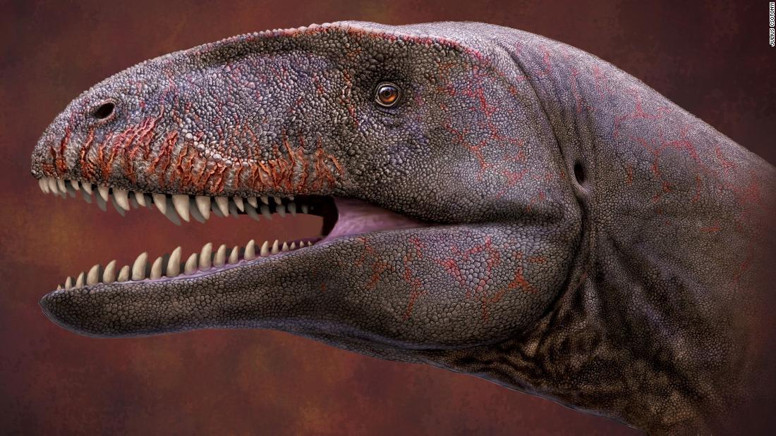 The Top Ten Dinosaur Discoveries of 2022, Science