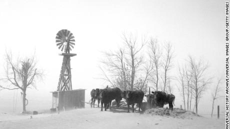 A livestock watering hole almost completely covered by shifting topsoil, in Cimarron County, Oklahoma, in the Dust Bowl year of 1936.
