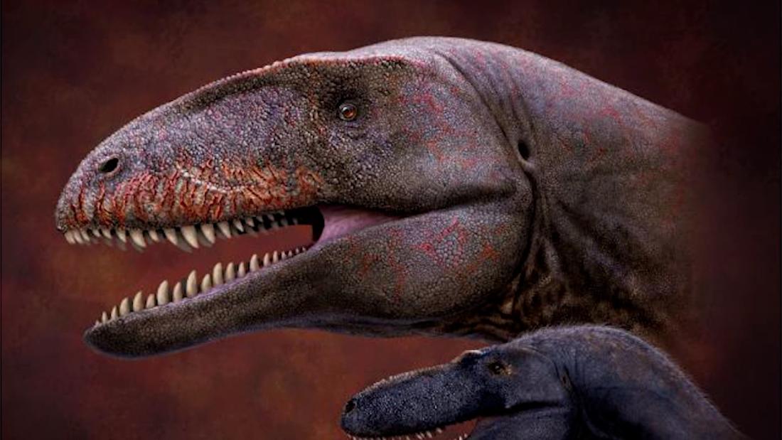 Científicos descubren una especie de dinosaurio depredador, hasta ahora ...