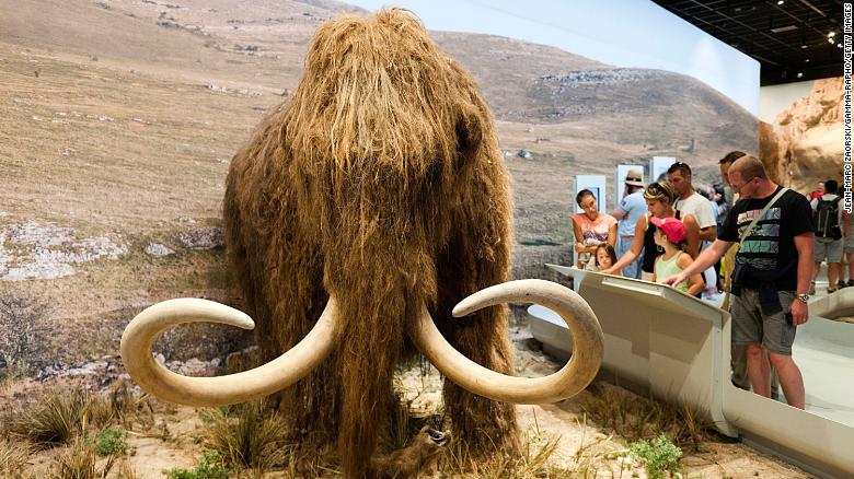 Scientists want to resurrect the woolly mammoth. They just got $15 million to make it happen