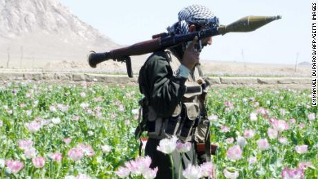 An Afghan soldier walks through a field of poppies during an eradication campaign in Kandahar province&#39;s Maiwand district in 2005.  