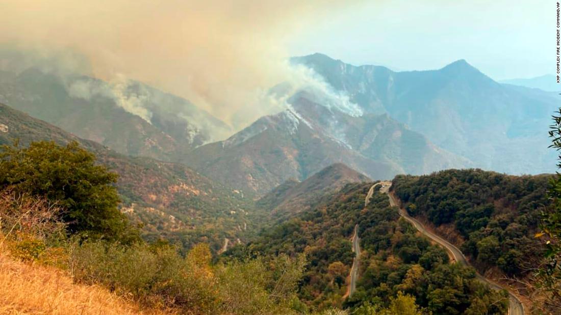 A pair of California wildfires are now threatening some of the world's largest trees