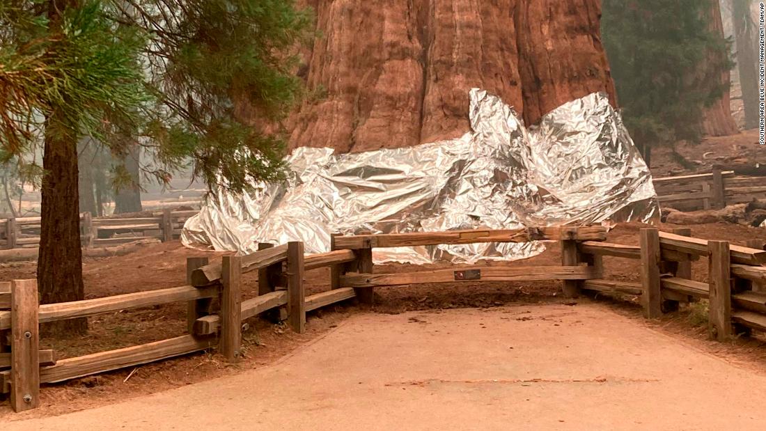 The giant sequoia known as the General Sherman Tree &lt;a href=&quot;https://www.cnn.com/travel/article/sequoias-wrapped-knp-complex-fire-trnd/index.html&quot; target=&quot;_blank&quot;&gt;is wrapped in a fire-resistant blanket&lt;/a&gt; to protect it from the intense heat of approaching wildfires on Thursday, September 16.