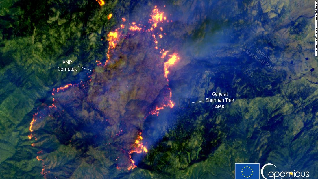 This satellite image by Copernicus shows the KNP Complex fire in California moving towards the site of General Sherman, the largest single stem tree in the world.