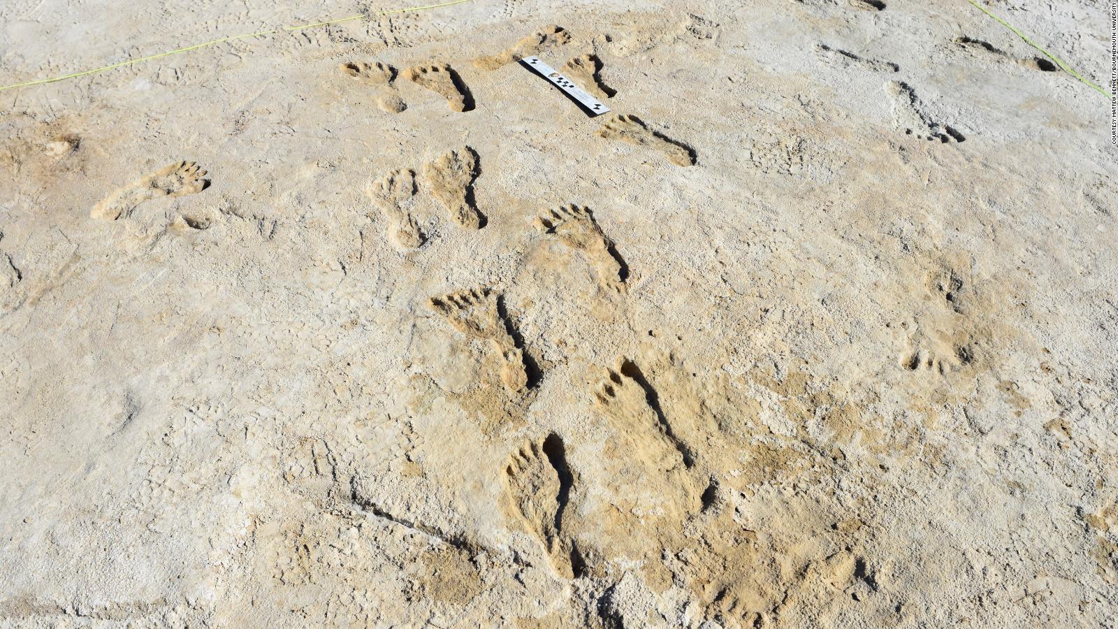 fossilized-footprints-show-humans-made-it-to-north-america-much-earlier