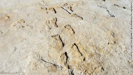 One of the fossilized trackways of footprints dated and analyzed in the study. 