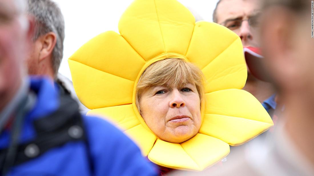 A golf fan dressed as a daffodil during the 38th Ryder Cup in Wales in 2010.