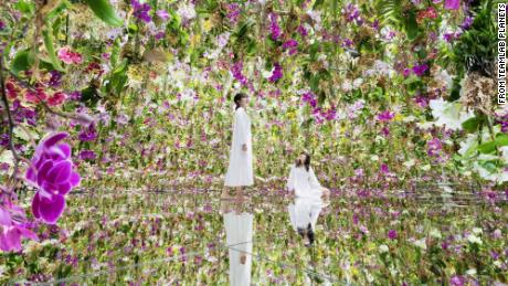 Alive with 13,000 &#39;floating&#39; orchids, this is a garden like no other 