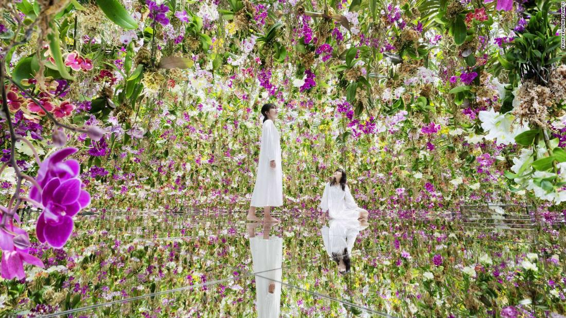Alive with 13,000 'floating' orchids, this is a garden like no other