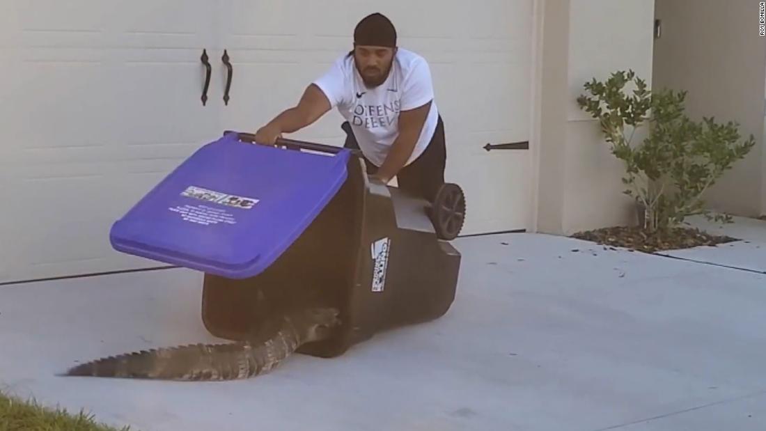 This man used a garbage can to successfully trap a gator in Florida. Fish and wildlife authorities say to leave the trapping to them - CNN