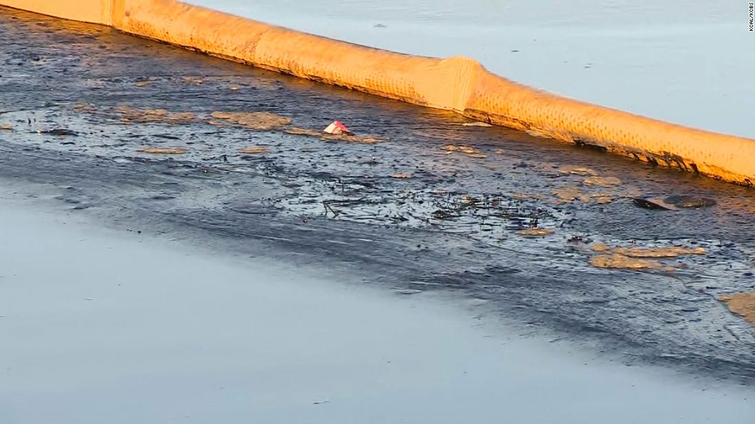 California oil spill: Dead birds and fish wash up on Huntington Beach, officials say