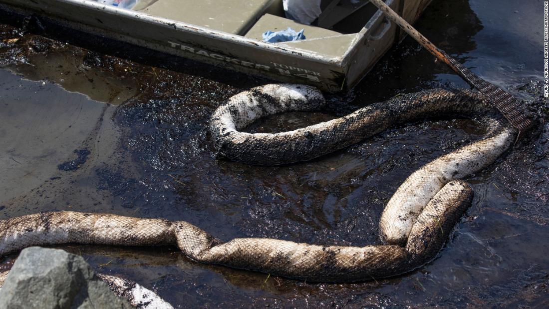 Oil-absorbent booms are being used by workers to clean up oil that flowed into the Talbert Marsh in Huntington Beach.