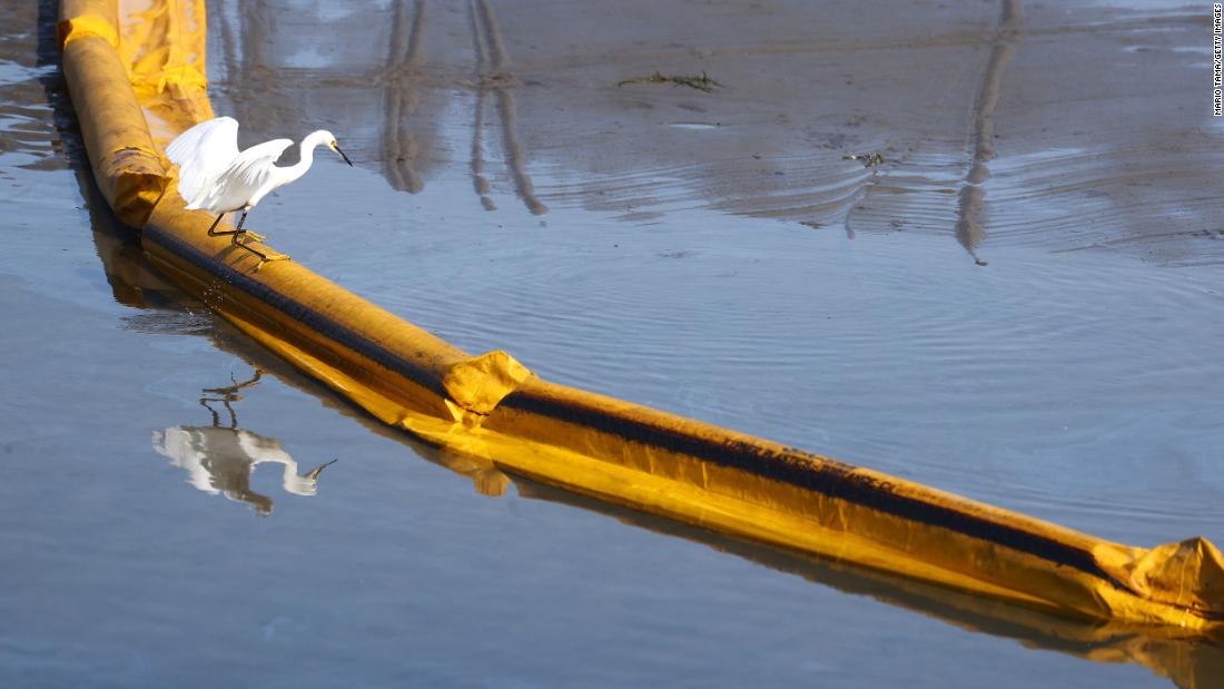 A bird balances on a boom that was set up to contain oil in Huntington Beach.