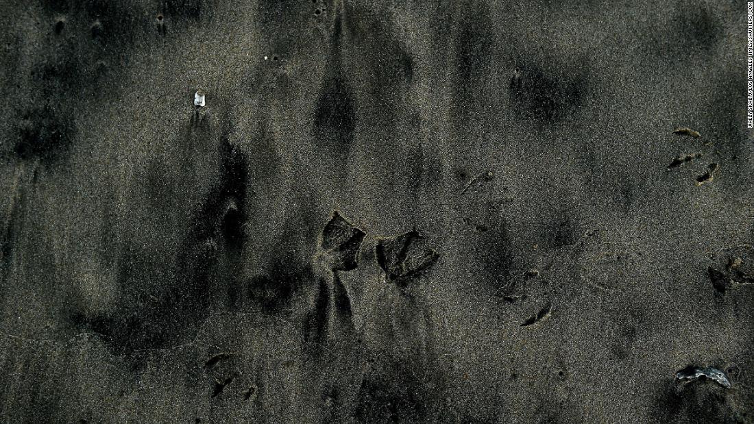 Oil residue mixed with sand covers part of the Bolsa Chica State Beach on October 4.