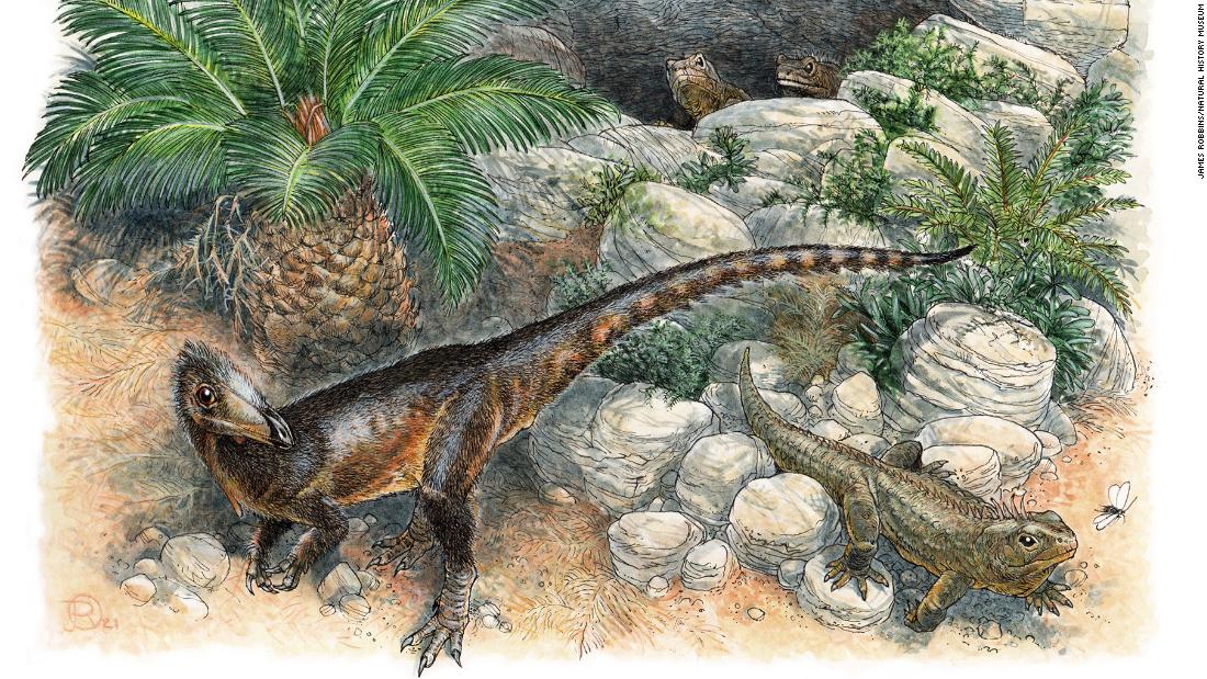 Dinky Dinosaur bol najmladším svojho druhu, keď sa pred 200 miliónmi rokov túlal po Walese
