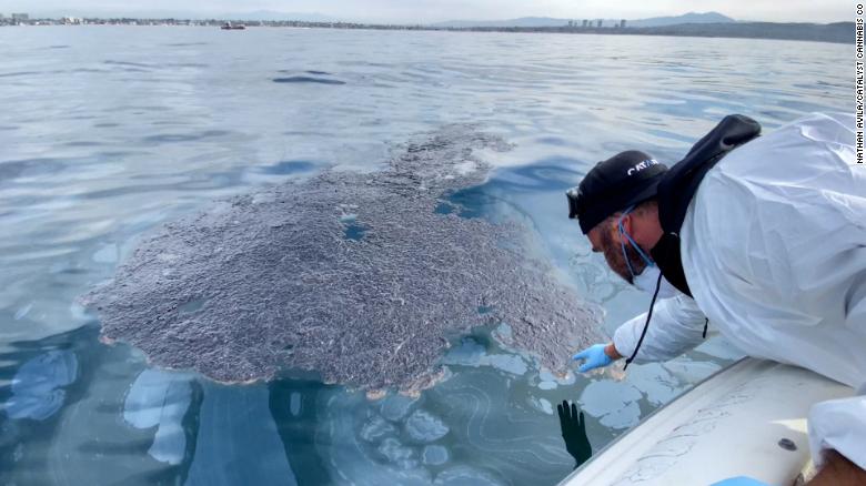 Elliot Lewis eaches out to a blob of oil floating in the Pacific Ocean. 