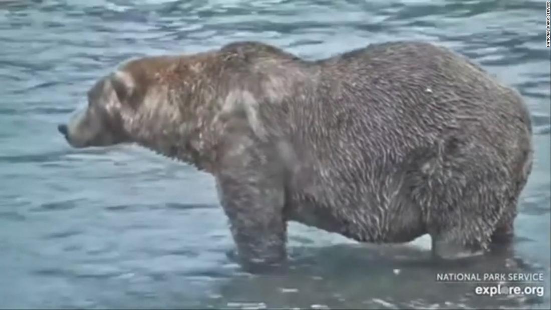 Meet this year's winner of Alaska's 'Fat Bear Week' CNN Video