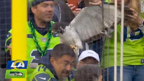 Seahawks&#39; mascot lands on a fan and stands on his head.