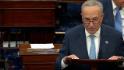 Schumer slams Republicans: They played a risky and partisan game