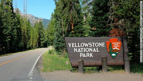Woman sentenced to four days in jail for Yellowstone grizzly bear incident