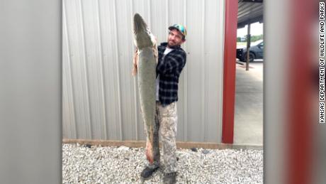 A &#39;living fossil&#39; alligator gar is found for the first time in a Kansas river 