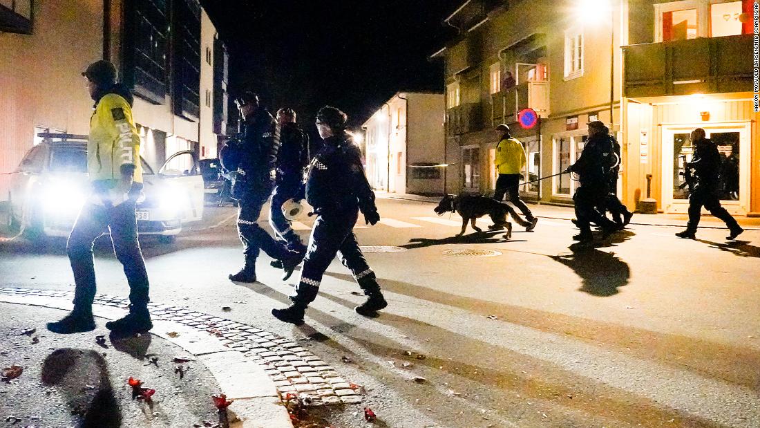 Kongsberg attack: Several killed in suspected bow and arrow attack in Norway