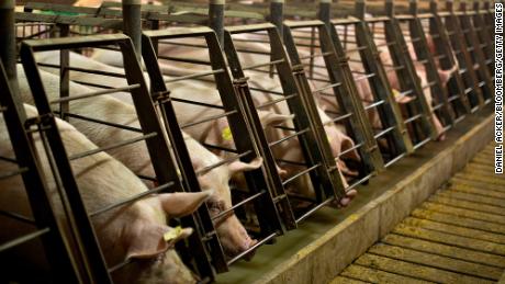 Pork is already super expensive. This new animal-welfare law could push prices higher