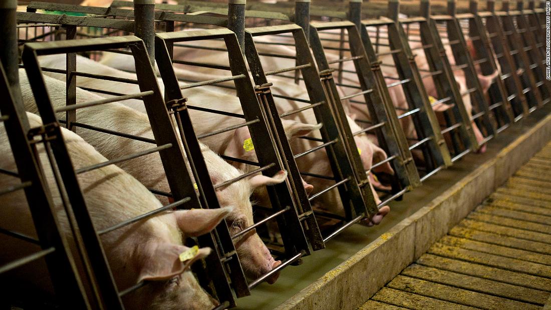 Pork is already super expensive. This new animal-welfare law could push prices higher.