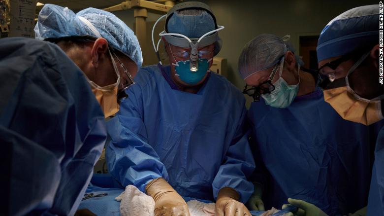 US surgeons successfully test pig kidney transplant in human patient