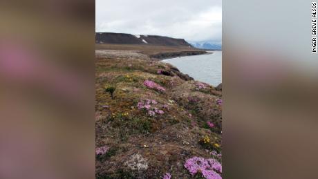 L'environnement arctique aujourd'hui. 