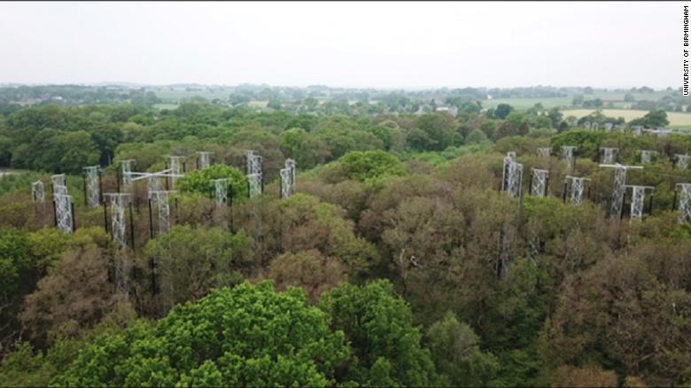 University of Birmingham research arrays in a forest of trees.