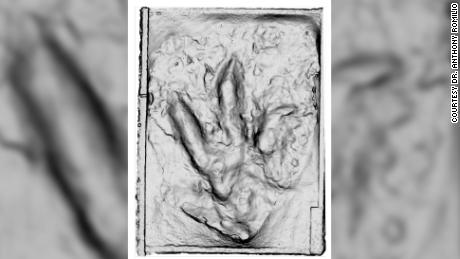 Les chercheurs ont étudié des images 3D de l'empreinte fossile pour déterminer le type de dinosaure qui a fait les empreintes. 