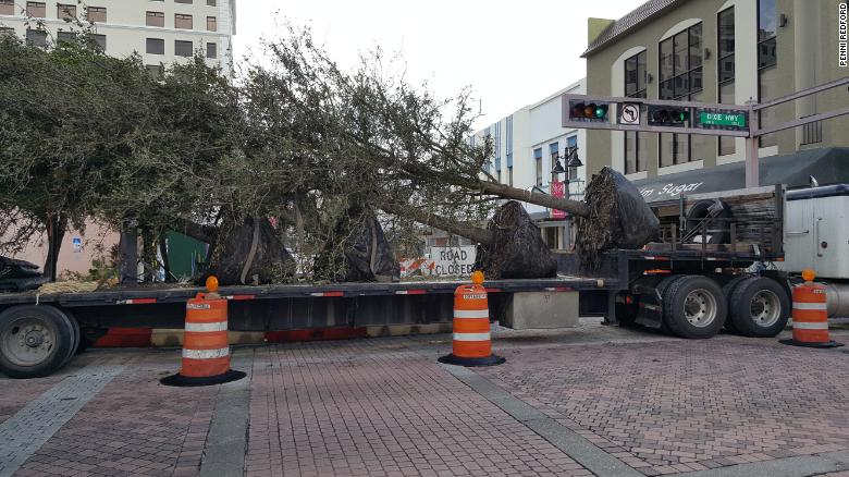 West Palm Beach is planting trees as part of their Tree Canopy Improvement program.