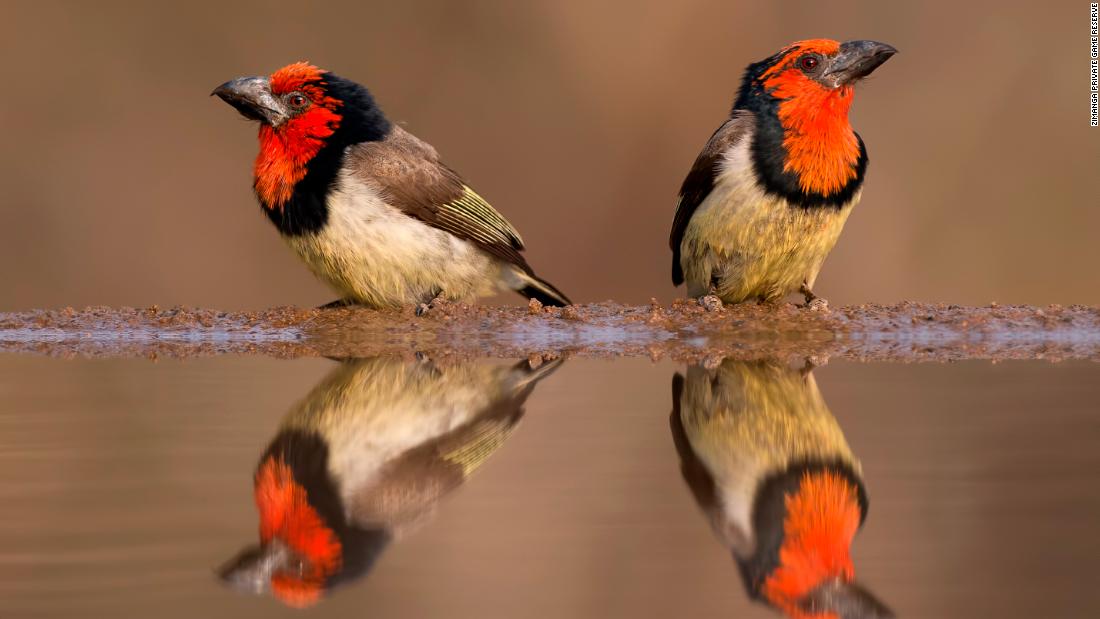 Wildlife photography 'hides' teach the virtue of patience