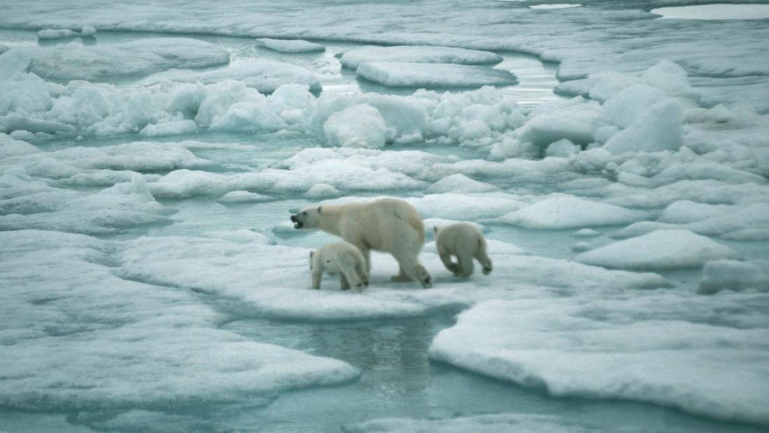 ¿Conseguirá Estados Unidos un acuerdo en la COP26 para luchar contra el ...