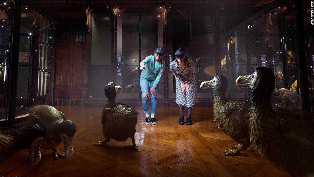 The aim of the project is to raise awareness of how many species are going extinct so that people can avoid making the mistakes of the past. Nearly two-thirds of the world&#39;s wildlife population was wiped out in the past 50 years, according to the WWF. Through augmented reality glasses, visitors can witness the unusual revival of vanished species, such as the dodo from the island of Mauritius, seen in this illustration.