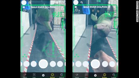 Sebastian Koseda&#39;s Snapchat lens lets users interact with the baiji dolphin.