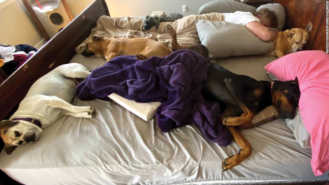 &quot;Who says everyone can&#39;t fit in the bed? As long as I get the biggest part so I can spread out, I&#39;m cool.&quot; -- Beast (bottom right), a 106-pound  European Doberman, with (clockwise from bottom left) his sisters Buttercup and Bear; brother Joey, laying on their human; and sister Bailey.